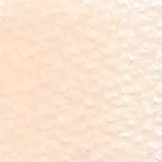 HOLBEIN Artists' Colored Pencil OP019 Shell Pink