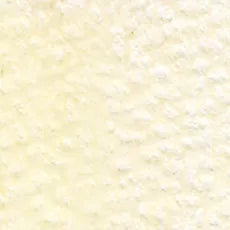 HOLBEIN Artists' Colored Pencil OP116 Ivory