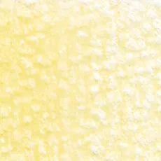 HOLBEIN Artists' Colored Pencil OP123 Light Sand