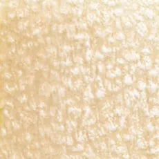 HOLBEIN Artists' Colored Pencil OP171 Cork