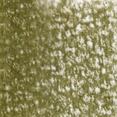 HOLBEIN Artists' Colored Pencil OP187 Olive Drab