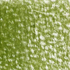 HOLBEIN Artists' Colored Pencil OP189 Olive Green