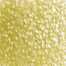 HOLBEIN Artists' Colored Pencil OP195 Olive Brown