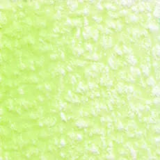 HOLBEIN Artists' Colored Pencil OP222 Lettuce Green