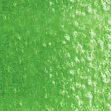 HOLBEIN Artists' Colored Pencil OP254 Evergreen