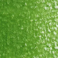 HOLBEIN Artists' Colored Pencil OP262 Sap Green