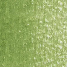 HOLBEIN Artists' Colored Pencil OP290 Moss Green