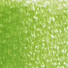 HOLBEIN Artists' Colored Pencil OP291 Leaf Green