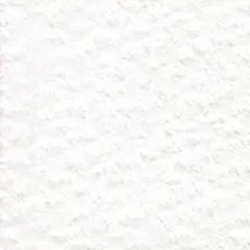 HOLBEIN Artists' Colored Pencil OP500 White