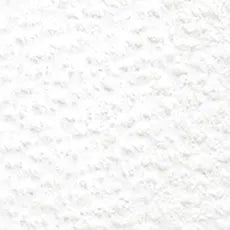 HOLBEIN Artists' Colored Pencil OP501 Soft White