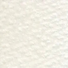 HOLBEIN Artists' Colored Pencil OP521 Warm Grey #1