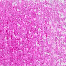 HOLBEIN Artists' Colored Pencil OP710 Luminous Rose