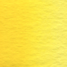 Cadmium Yellow Light (W042) watercolor swatch – HOLBEIN Artists' Watercolor