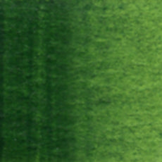 Sap Green (W075) watercolor swatch – HOLBEIN Artists' Watercolor