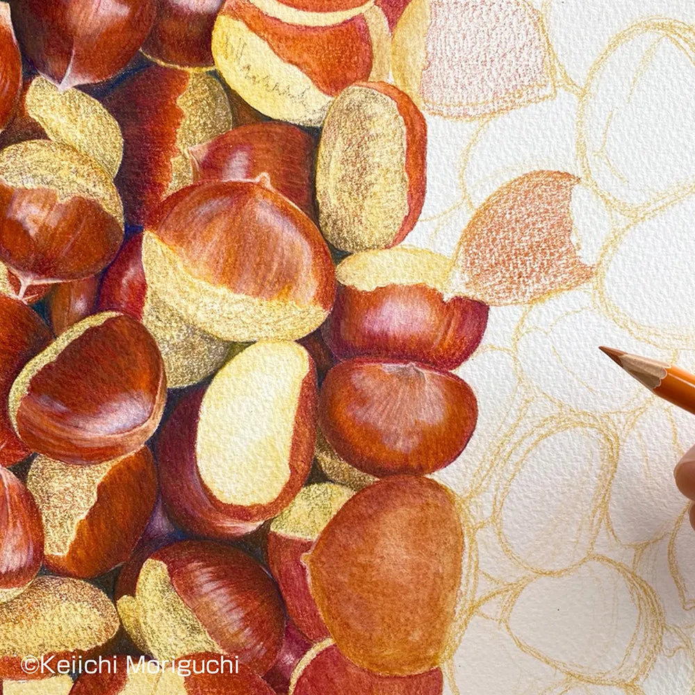 HOLBEIN Artists' Colored Pencil OP850 MELTZ (water-based blending solution) 35ml