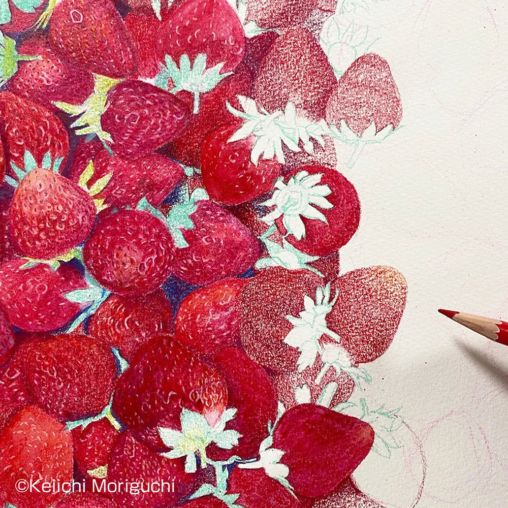 HOLBEIN Artists' Colored Pencil OP850 MELTZ (water-based blending solution) 35ml