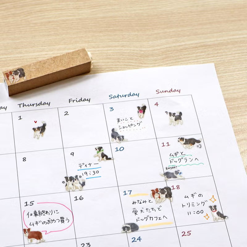 MIND WAVE Doggy Collection Sticker Sheet - Border Collie