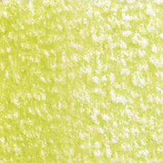 HOLBEIN Artists' Colored Pencil OP198 Olive Yellow