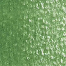 HOLBEIN Artists' Colored Pencil OP292 Cactus Green