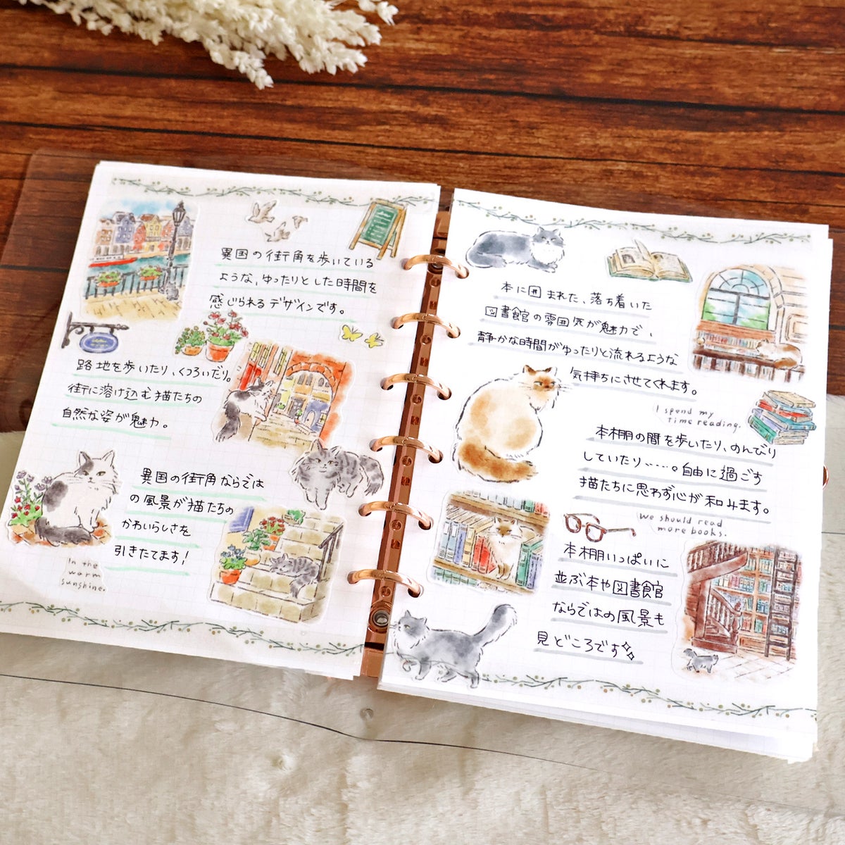 MIND WAVE Nyanko Biyori Sticker Sheet - Library