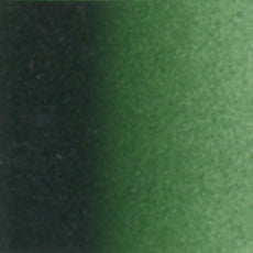HOLBEIN ACRYLIC [INK] 100ml AI854 HOOKERS GREEN