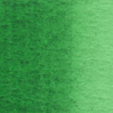Hooker's Green (W062) watercolor swatch – HOLBEIN Artists' Watercolor