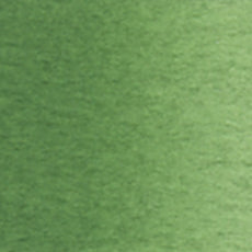 Terre Verte (W065) watercolor swatch – HOLBEIN Artists' Watercolor