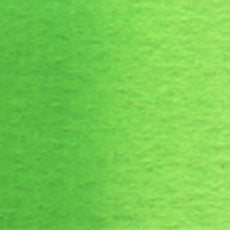 Permanent Green No.1 (W066) watercolor swatch – HOLBEIN Artists' Watercolor
