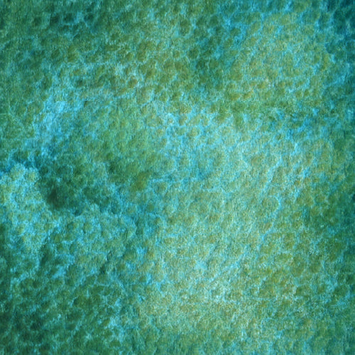 Peafowl Green (WG524) watercolor swatch – HOLBEIN Artists' Watercolor