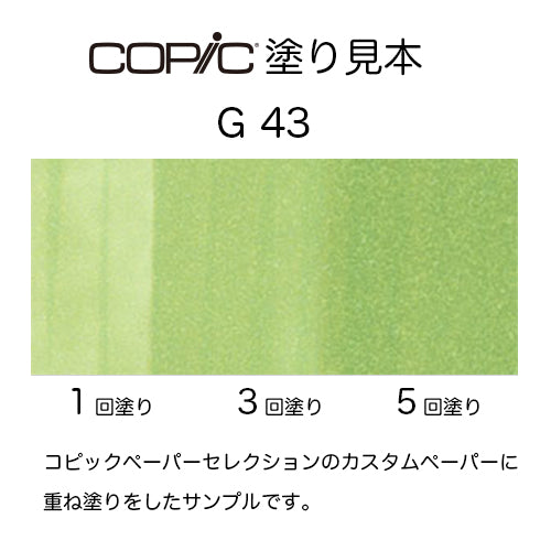 .Too COPIC sketch G43 Pistachio