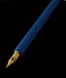 ZEBRA 10 plumes Titane G pen pro